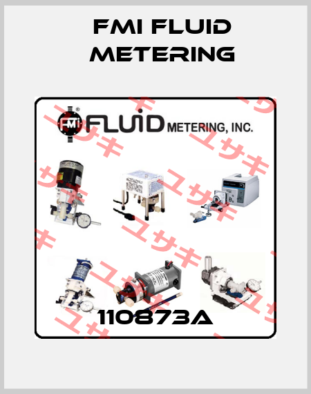 110873A FMI Fluid Metering
