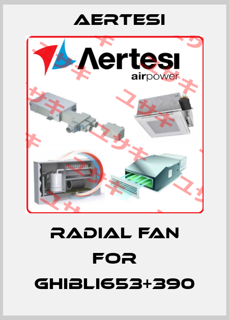 Radial fan for GHIBLI653+390 Aertesi