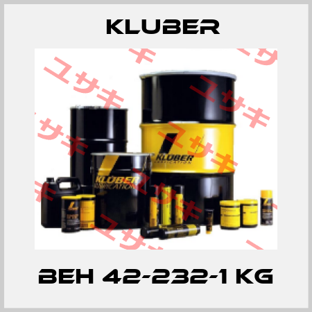 BEH 42-232-1 kg Kluber