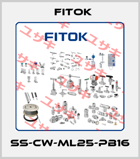 SS-CW-ML25-PB16 Fitok