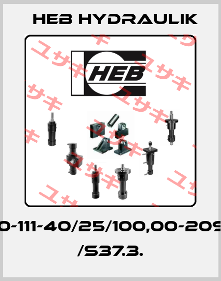 Z250-111-40/25/100,00-209/B1.1 /S37.3. HEB Hydraulik