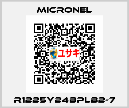 R1225Y24BPLB2-7 Micronel AG