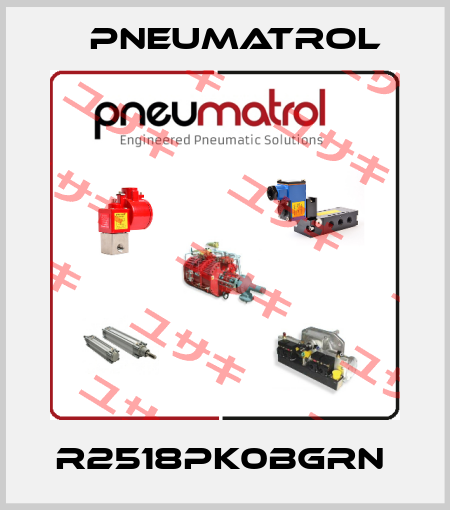 R2518PK0BGRN  Pneumatrol