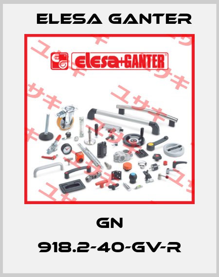 GN 918.2-40-GV-R Elesa Ganter