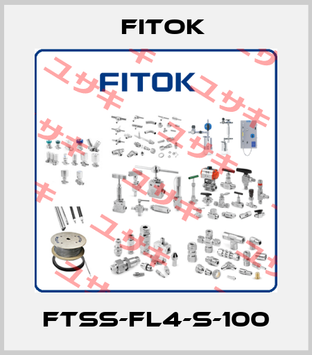 FTSS-FL4-S-100 Fitok