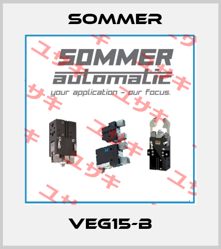 VEG15-B Sommer