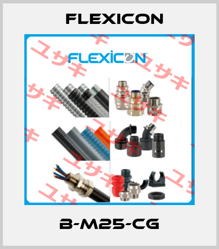 B-M25-CG Flexicon