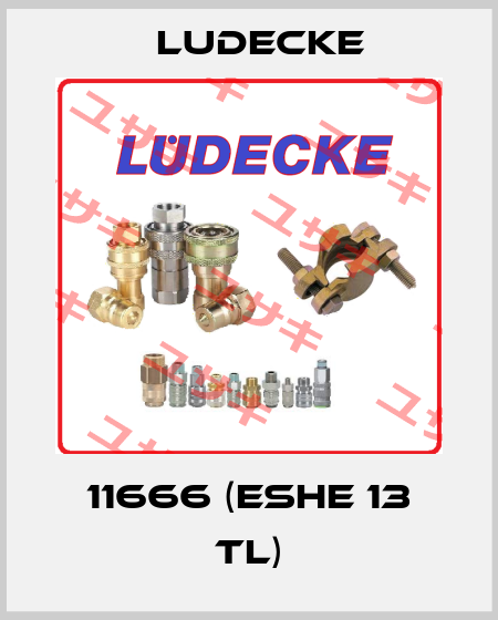 11666 (ESHE 13 TL) Ludecke