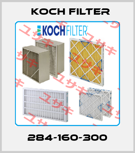 284-160-300 Koch Filter