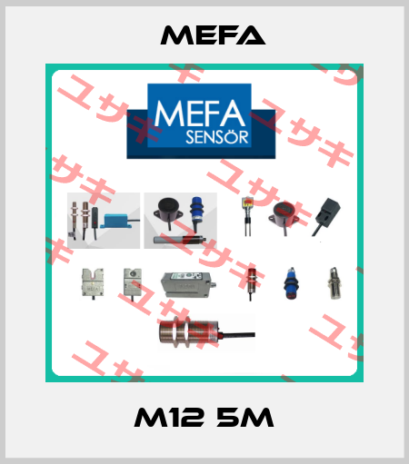 M12 5M Mefa