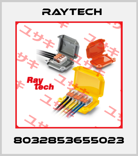 8032853655023 Raytech