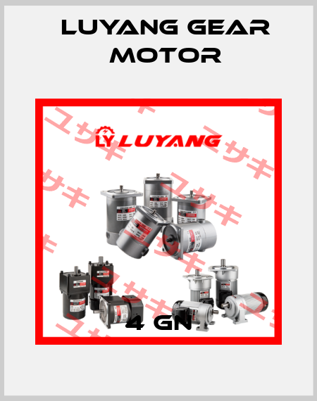 4 GN Luyang Gear Motor