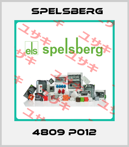 4809 P012 Spelsberg
