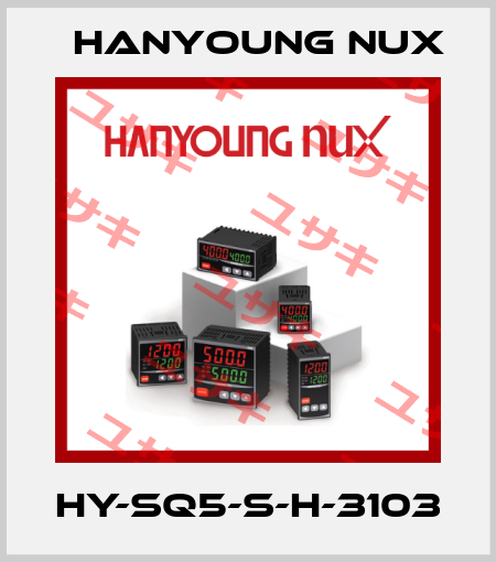 HY-SQ5-S-H-3103 HanYoung NUX