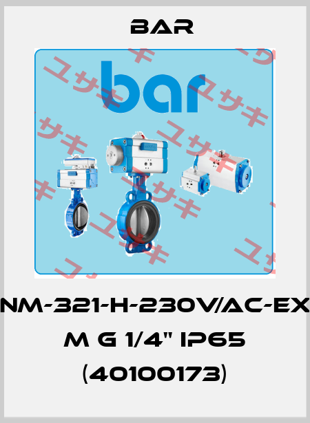NM-321-H-230V/AC-EX m G 1/4" IP65 (40100173) bar