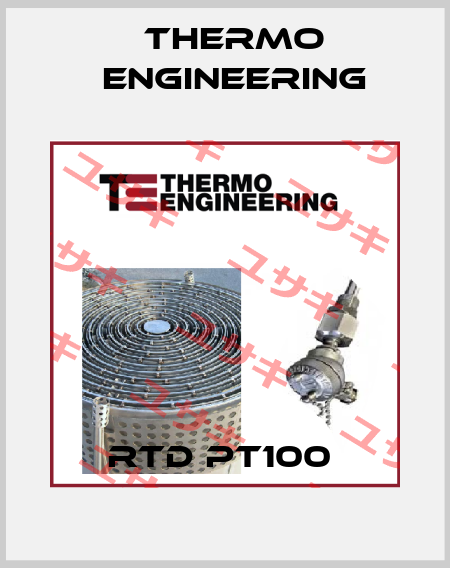 RTD PT100  Thermo Engineering S.r.l.