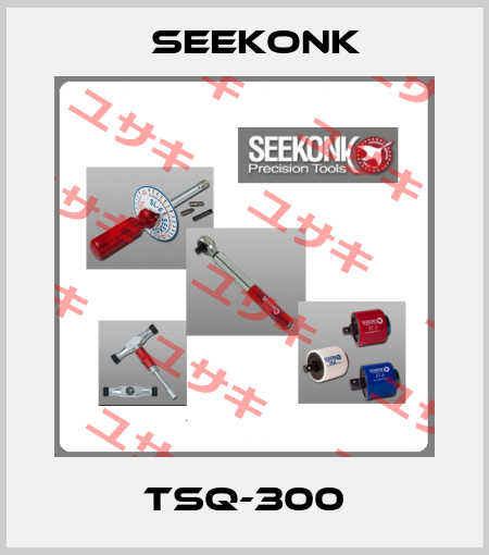 TSQ-300 Seekonk