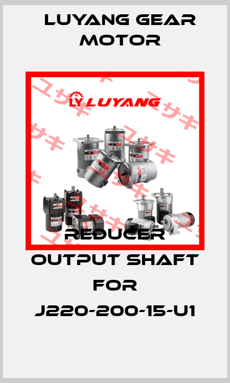 reducer output shaft for J220-200-15-U1 Luyang Gear Motor