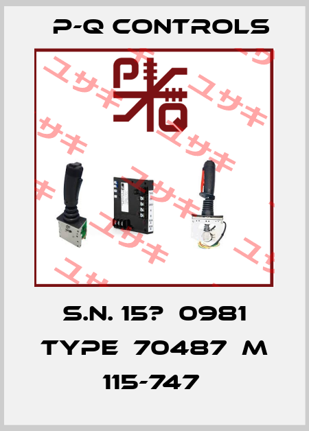 S.N. 15?  0981 TYPE  70487  M 115-747  P-Q Controls