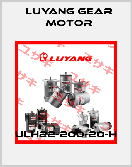 ULH22-200-20-H Luyang Gear Motor