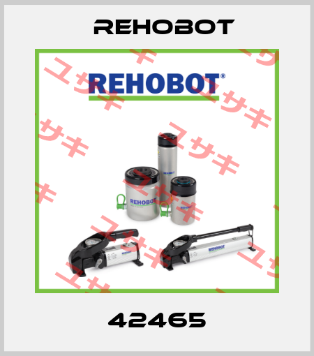 42465 Rehobot
