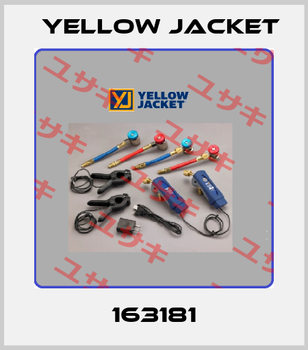 163181 Yellow Jacket