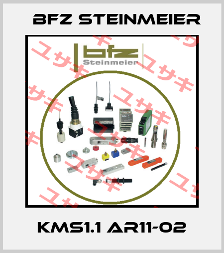 KMS1.1 AR11-02 BFZ STEINMEIER