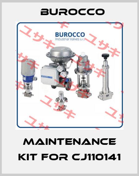 maintenance kit for CJ110141 Burocco