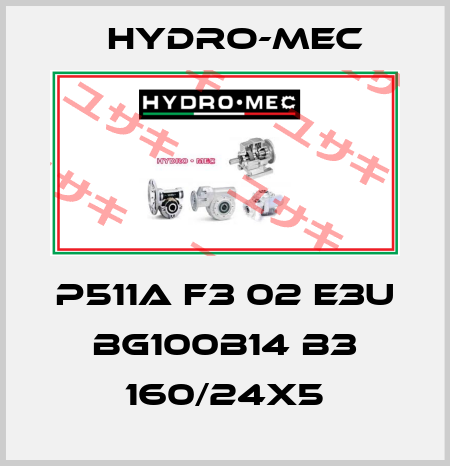 P511A F3 02 E3U BG100B14 B3 160/24x5 Hydro-Mec