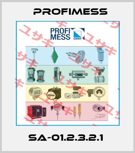 SA-01.2.3.2.1  Profimess