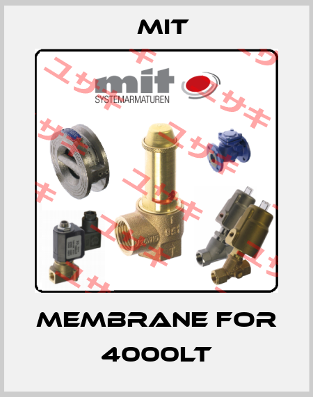 membrane for 4000LT MIT