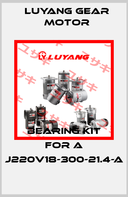 bearing kit for a J220V18-300-21.4-a Luyang Gear Motor