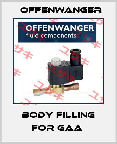 Body filling for GAA  OFFENWANGER