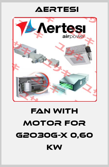 fan with motor for G2O30G-X 0,60 KW Aertesi
