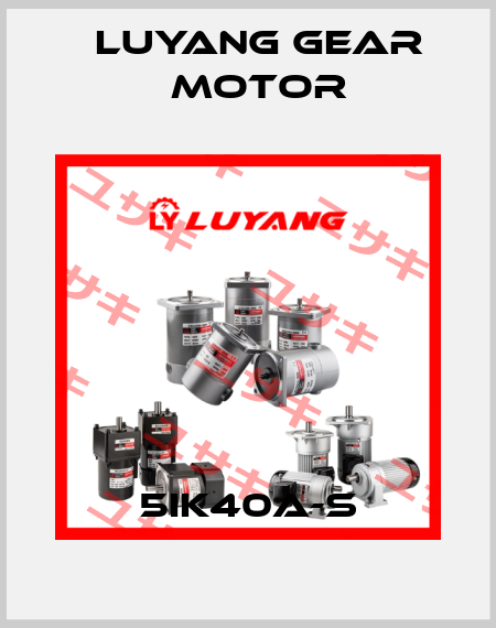5IK40A-S Luyang Gear Motor