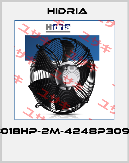R09R-3018HP-2M-4248P309-4-1063  Hidria