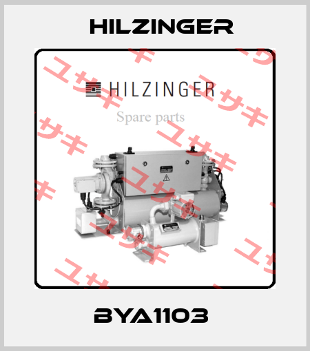 BYA1103  Hilzinger
