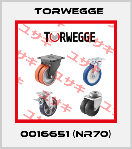 0016651 (NR70) Torwegge