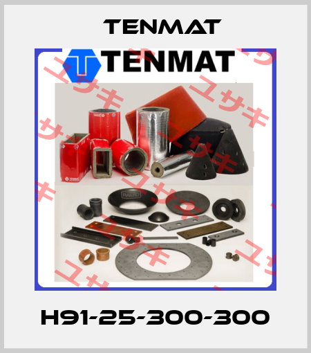 H91-25-300-300 TENMAT