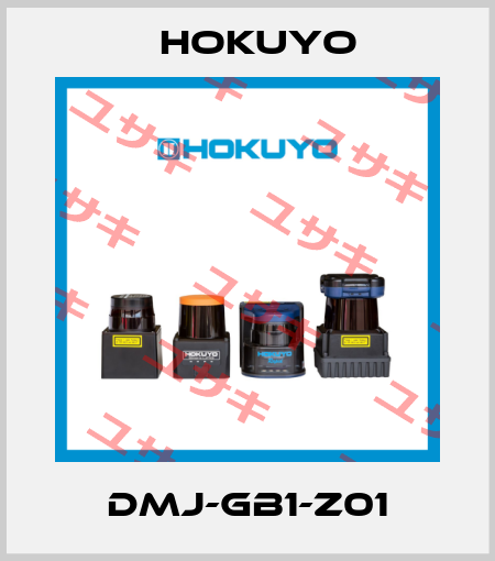 DMJ-GB1-Z01 Hokuyo