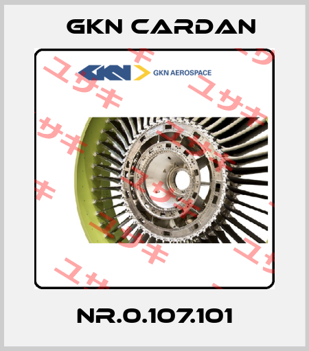 NR.0.107.101 Gkn Cardan