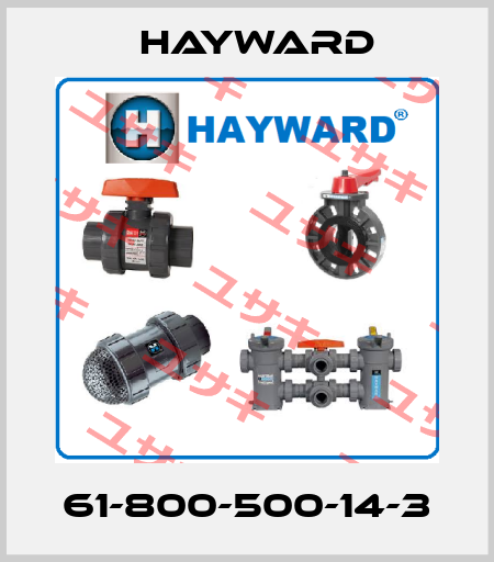 61-800-500-14-3 HAYWARD