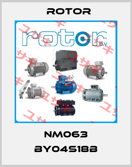  NM063 BY04S18B Rotor