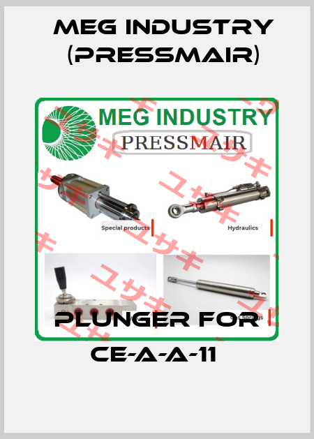 Plunger for CE-A-A-11  Meg Industry (Pressmair)