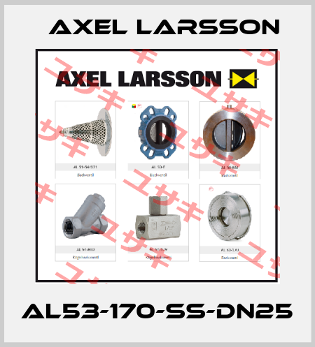AL53-170-SS-DN25 AXEL LARSSON