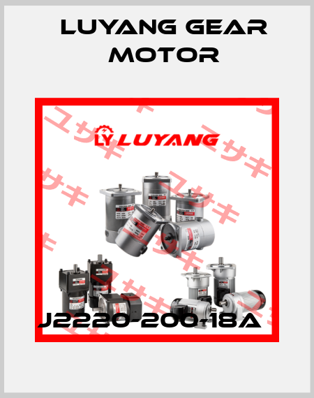 J2220-200-18A   Luyang Gear Motor