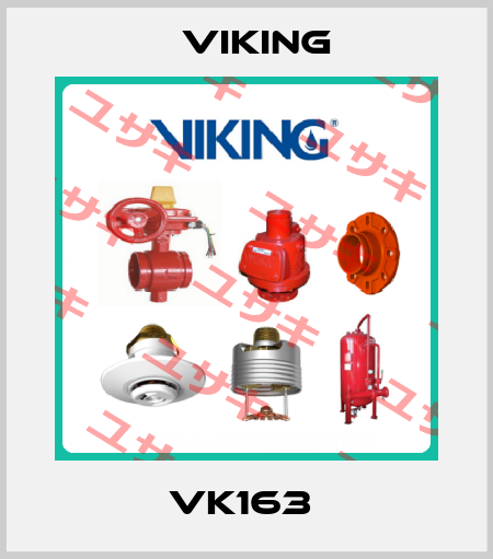 VK163  Viking