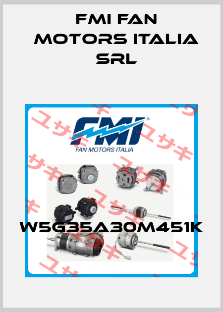 W5G35A30M451K FMI Fan Motors Italia Srl