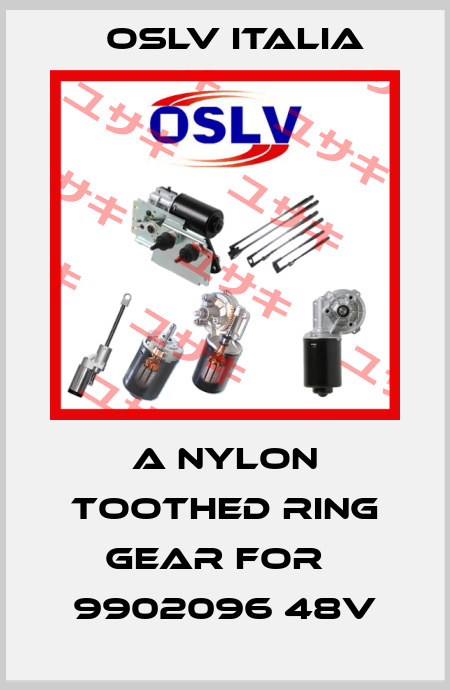 a nylon toothed ring gear for   9902096 48V OSLV Italia