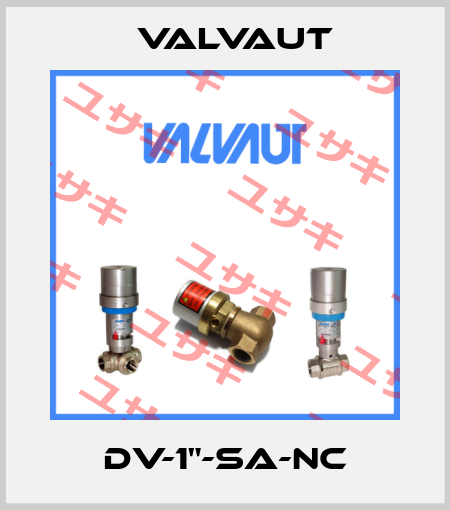 DV-1"-SA-NC Valvaut